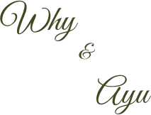 Undangan online bali kamiundang