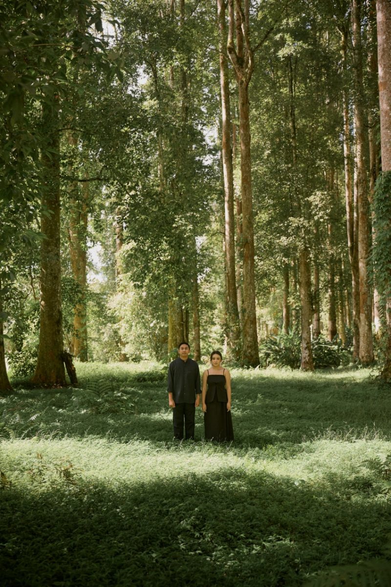 ary-devi-slideshow-1