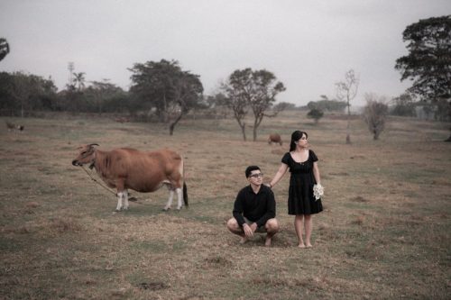 agas-dewi-gallery-7