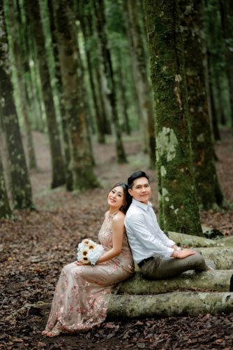 krisna-desi-gallery-1
