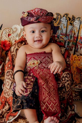 sadewa-dhanin-cover